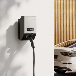 EcoFlow PowerPulse 2